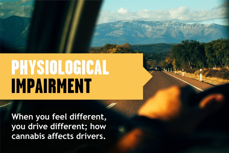 POV shot of hands behind a steering wheel, mountains in the distance. Text overlay reads "Physiological Impairment. When you feel different, you drive different. How cannabis affects drivers."
