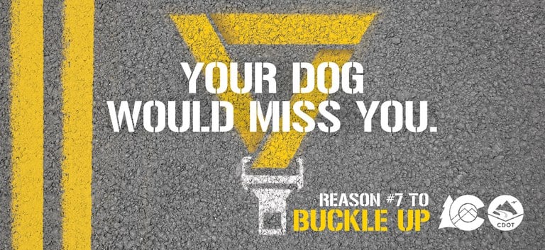 Your dog would miss you text on pavement with reason #7 to buckle up